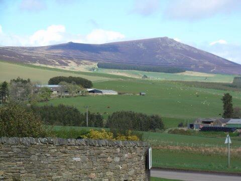 rinnes